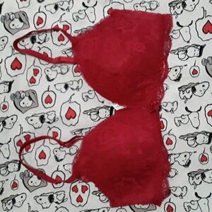 Intimissimi Bra 34B